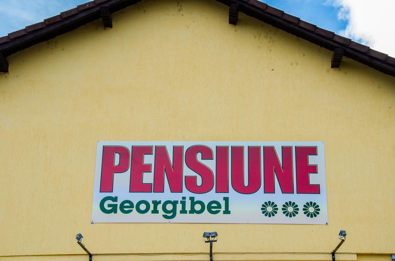 Georgibel Hotel Deva Eksteriør billede